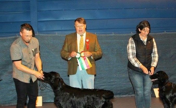 Innehaverene av kennel Kalexas er Kjersti Jensen og Jon André Breivik.


